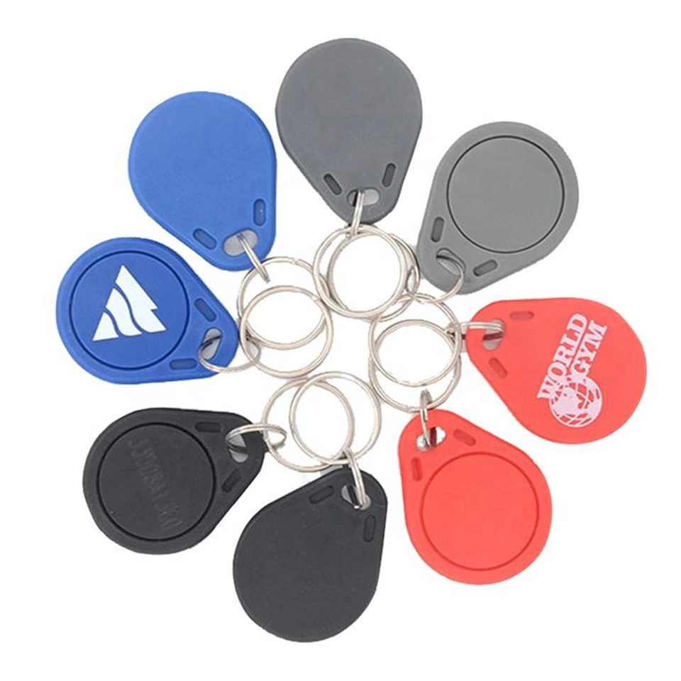 Door Access Control Keychains Rings ABS RFID Key Tags EM Marine ID Proximity Smart TK4100 125Khz Chip RFID Keyfob